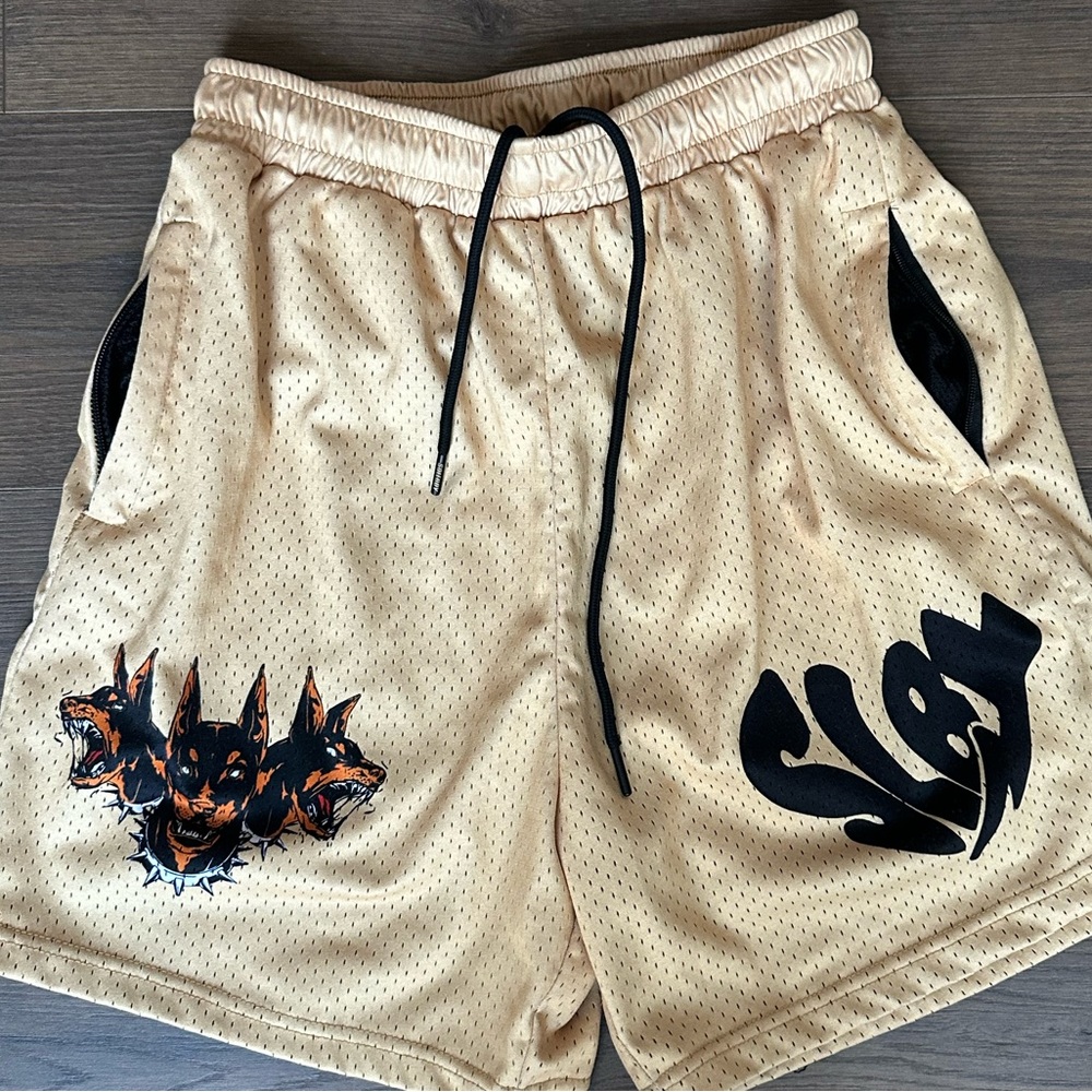 Slay Mesh Shorts